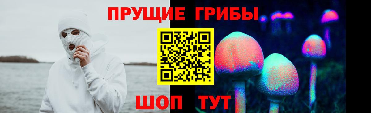 Псилоцибиновые грибы Cubensis Энгельс